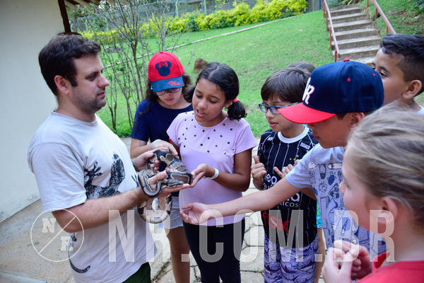 Buy your photos of the eventNR1 - DAY CAMP 02/10/18 on Fotop