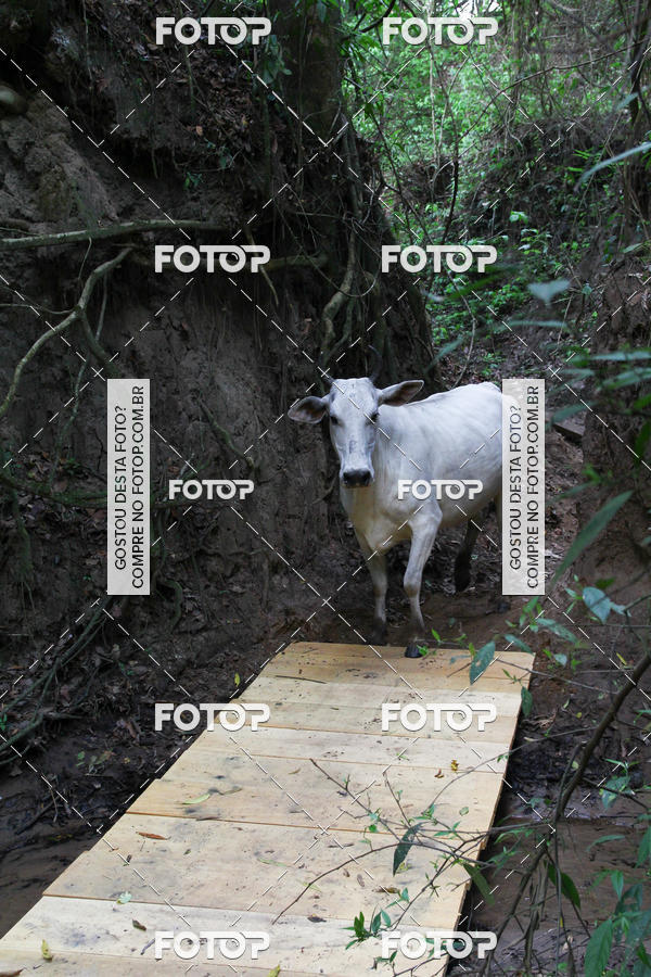 Buy your photos of the event1 DESAFIO MTB TOUR THE BIKE on Fotop