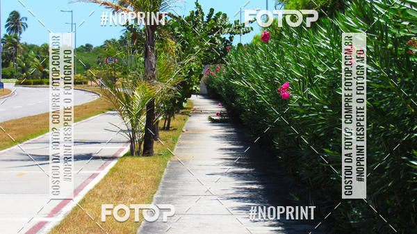 Buy your photos of the eventECORUN - RESERVA DO PAIVA on Fotop