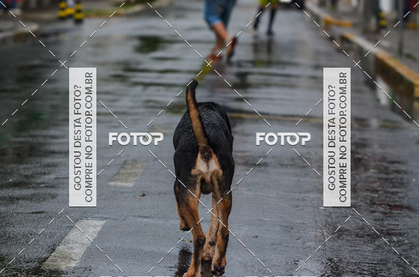 Buy your photos of the event6 OAB CORRE - Trememb SP on Fotop