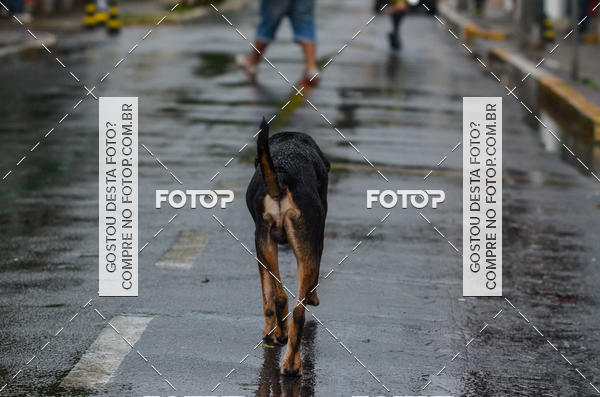 Buy your photos of the event6 OAB CORRE - Trememb SP on Fotop
