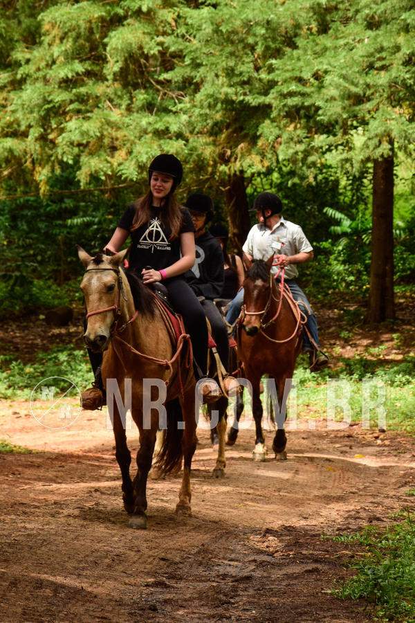 Buy your photos of the eventNR Sun - 07 A 10/10/18 on Fotop