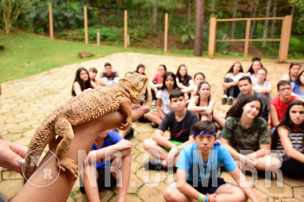 Buy your photos of the eventNR Sun - 07 A 10/10/18 on Fotop