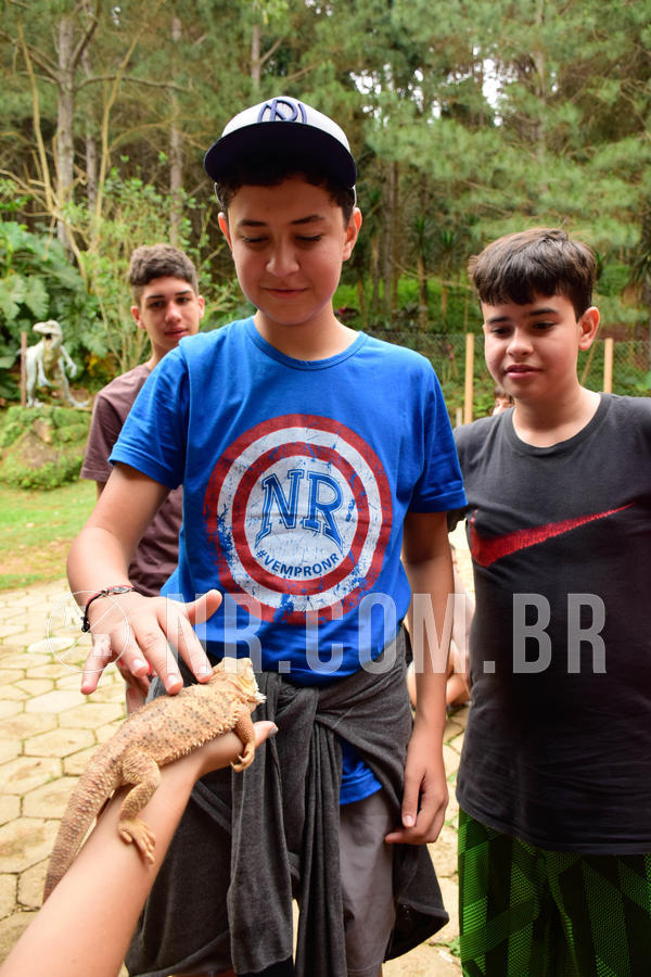 Buy your photos of the eventNR Sun - 07 A 10/10/18 on Fotop