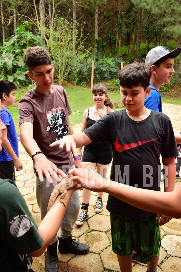 Buy your photos of the eventNR Sun - 07 A 10/10/18 on Fotop