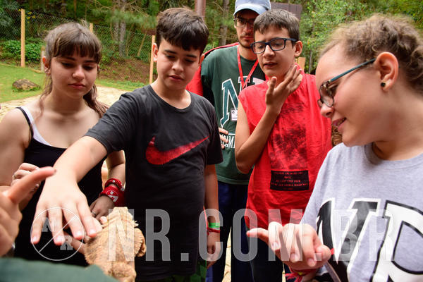 Buy your photos of the eventNR Sun - 07 A 10/10/18 on Fotop