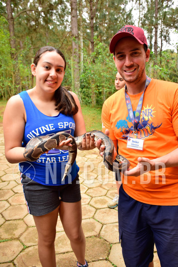 Buy your photos of the eventNR Sun - 07 A 10/10/18 on Fotop