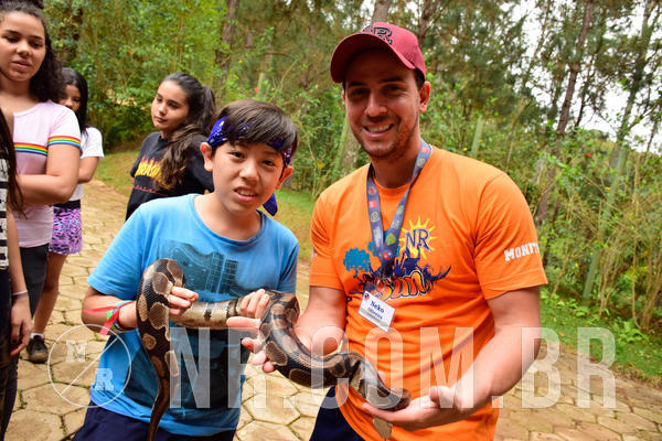 Buy your photos of the eventNR Sun - 07 A 10/10/18 on Fotop