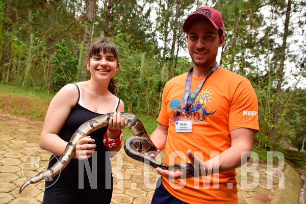 Buy your photos of the eventNR Sun - 07 A 10/10/18 on Fotop