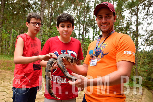 Buy your photos of the eventNR Sun - 07 A 10/10/18 on Fotop