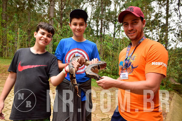 Buy your photos of the eventNR Sun - 07 A 10/10/18 on Fotop