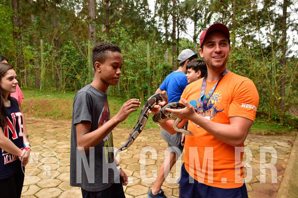 Buy your photos of the eventNR Sun - 07 A 10/10/18 on Fotop