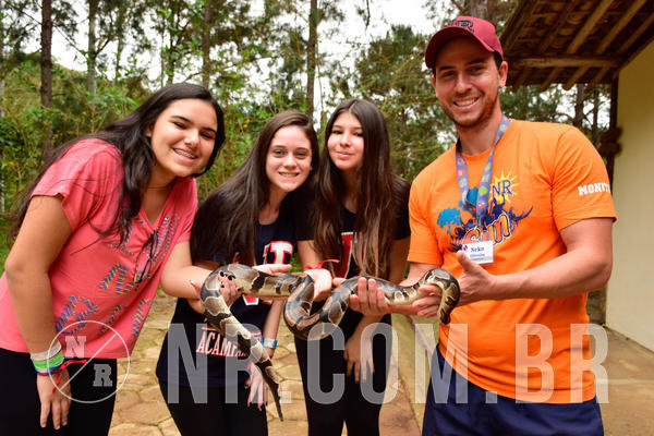 Buy your photos of the eventNR Sun - 07 A 10/10/18 on Fotop