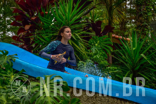 Buy your photos of the eventNR Sun - 10 A 14/10/18 on Fotop