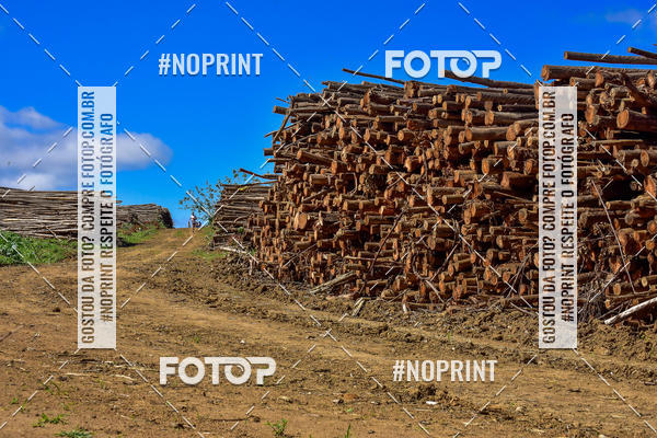 Buy your photos of the eventSARACURA ECO RUN 2018 on Fotop