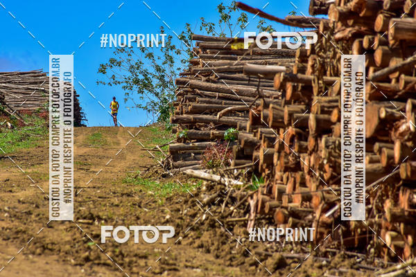 Buy your photos of the eventSARACURA ECO RUN 2018 on Fotop