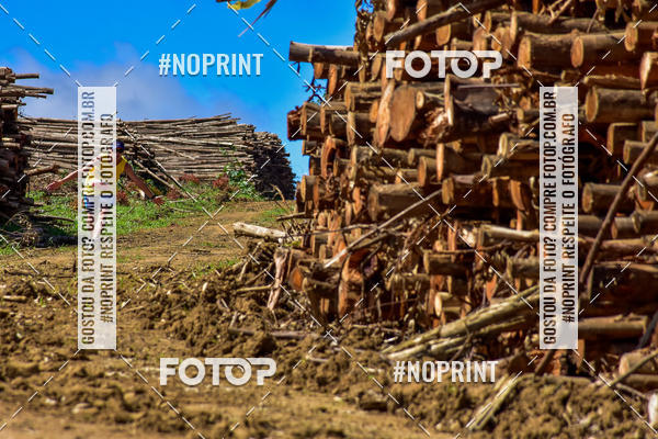 Buy your photos of the eventSARACURA ECO RUN 2018 on Fotop