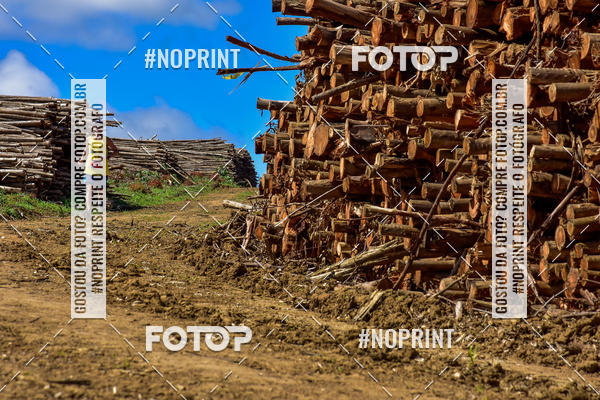 Buy your photos of the eventSARACURA ECO RUN 2018 on Fotop