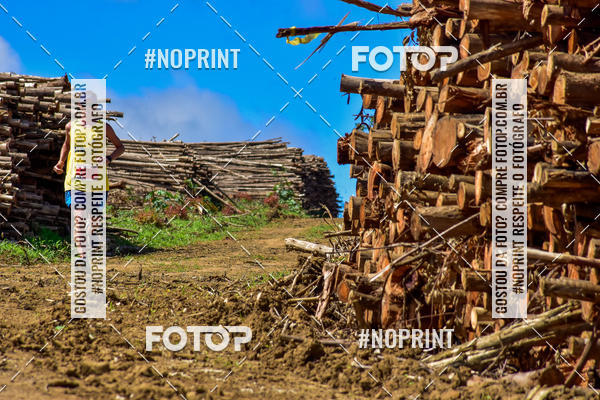 Buy your photos of the eventSARACURA ECO RUN 2018 on Fotop