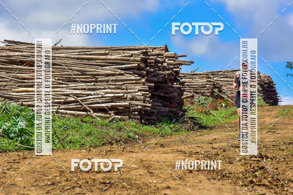 Compre suas fotos do eventoSARACURA ECO RUN 2018 no Fotop