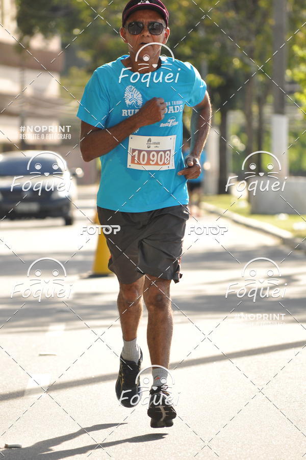 Buy your photos of the event6� Corrida Tribuna Ruas da Cidade on Fotop