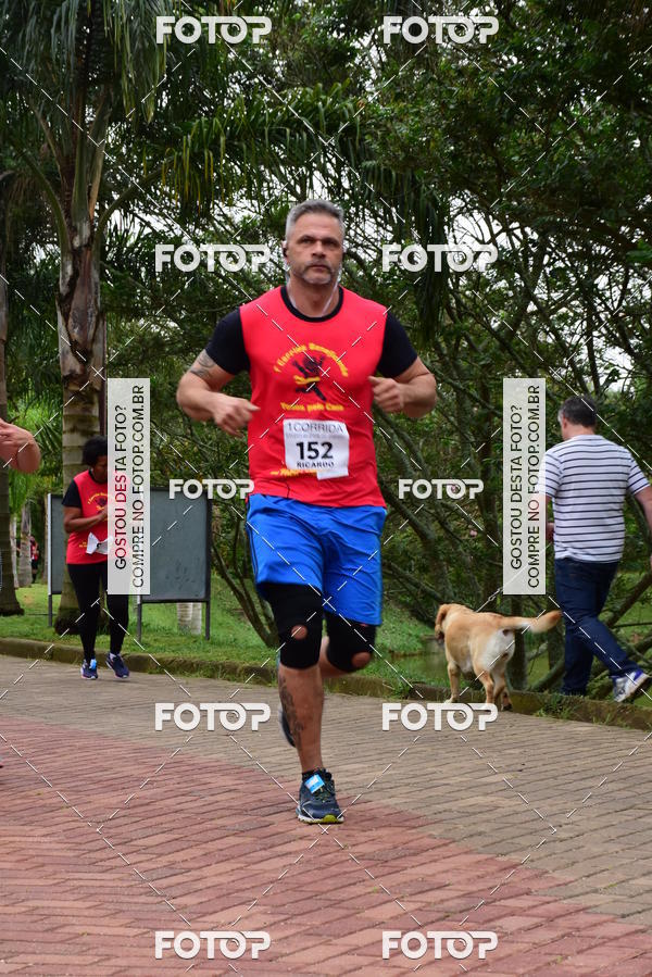 Buy your photos of the eventCorrida Todos pelo Caio on Fotop