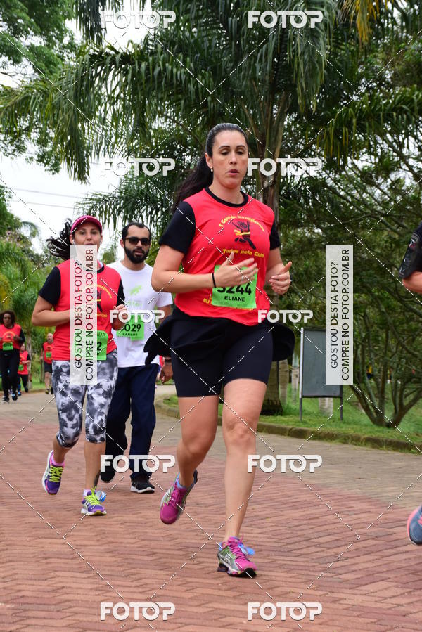 Buy your photos of the eventCorrida Todos pelo Caio on Fotop