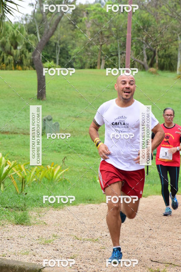 Buy your photos of the eventCorrida Todos pelo Caio on Fotop