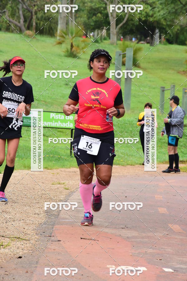 Buy your photos of the eventCorrida Todos pelo Caio on Fotop