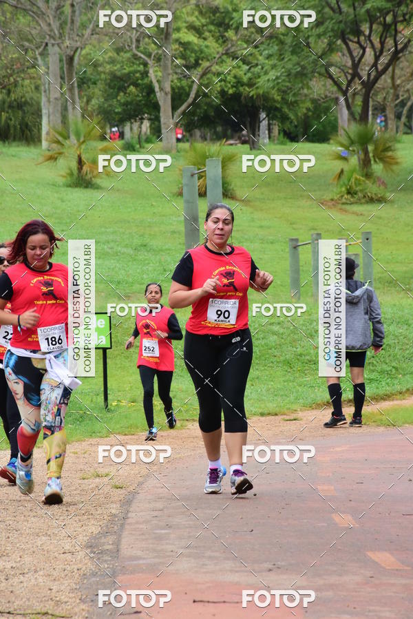 Buy your photos of the eventCorrida Todos pelo Caio on Fotop