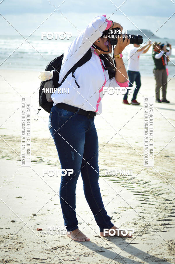 Buy your photos of the event1 PINK RUN SOLIDRIA ETAPA GUARUJ on Fotop