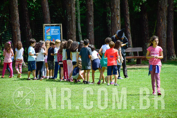 Buy your photos of the eventNR1 - Cl�ssico de 17 a 19/10/18 on Fotop