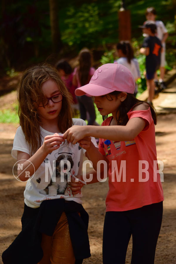 Buy your photos of the eventNR1 - Cl�ssico de 17 a 19/10/18 on Fotop