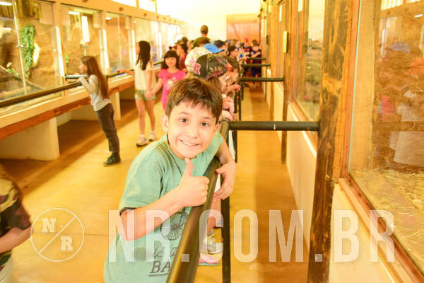 Buy your photos of the eventNR1 - Cl�ssico de 17 a 19/10/18 on Fotop