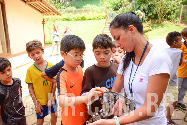 Buy your photos of the eventNR1 - Cl�ssico de 17 a 19/10/18 on Fotop