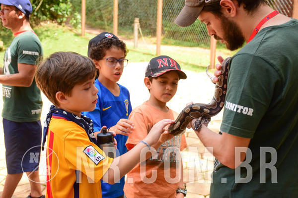 Buy your photos of the eventNR1 - Cl�ssico de 17 a 19/10/18 on Fotop