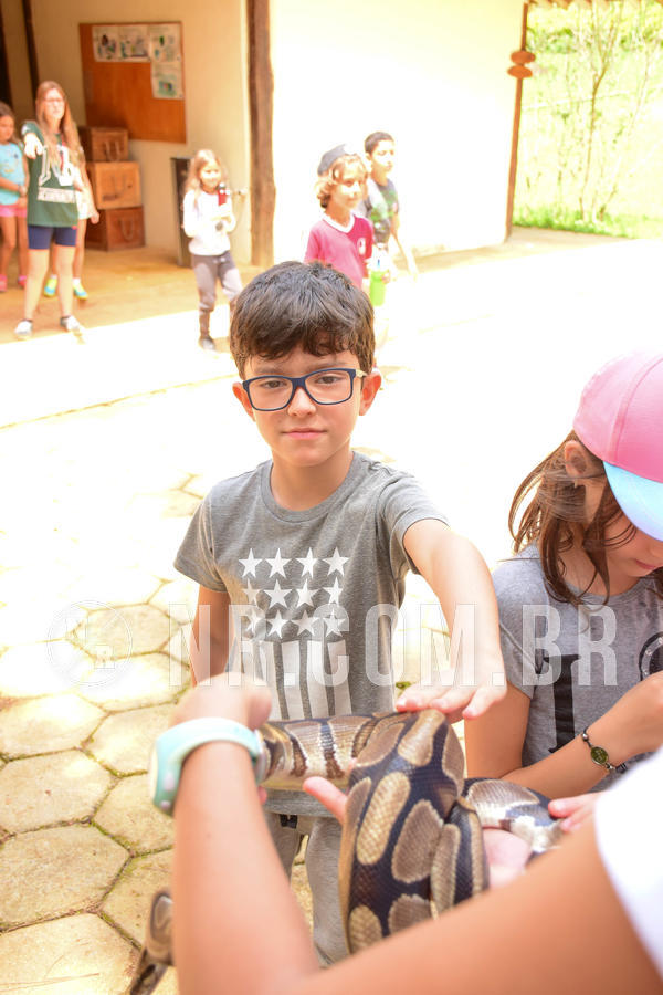 Buy your photos of the eventNR1 - Cl�ssico de 17 a 19/10/18 on Fotop