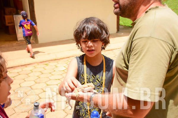 Buy your photos of the eventNR1 - Cl�ssico de 17 a 19/10/18 on Fotop