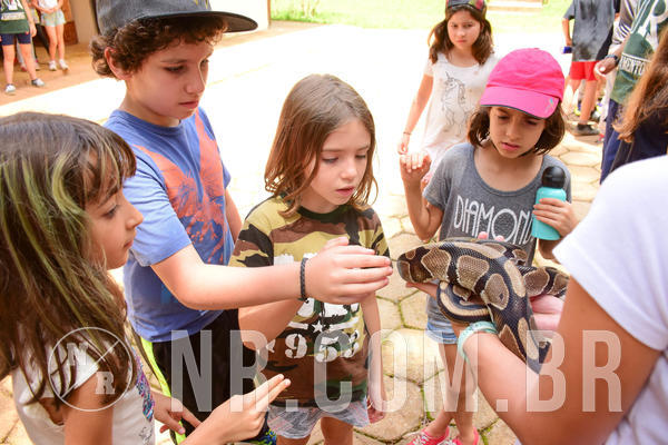 Buy your photos of the eventNR1 - Cl�ssico de 17 a 19/10/18 on Fotop