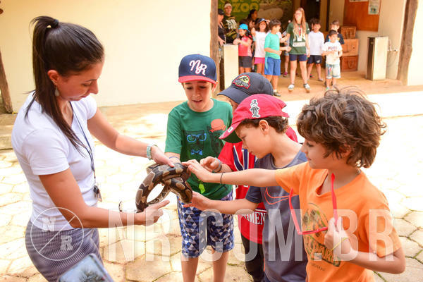 Buy your photos of the eventNR1 - Cl�ssico de 17 a 19/10/18 on Fotop