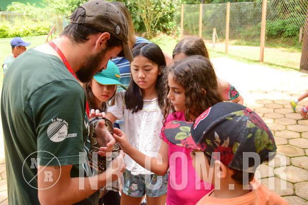 Buy your photos of the eventNR1 - Cl�ssico de 17 a 19/10/18 on Fotop