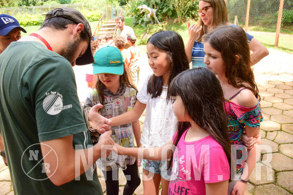 Buy your photos of the eventNR1 - Cl�ssico de 17 a 19/10/18 on Fotop