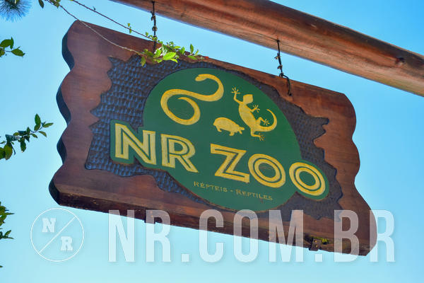 Buy your photos of the eventNR1 Ol� 6� ano - 19 A 21 /10/18 on Fotop