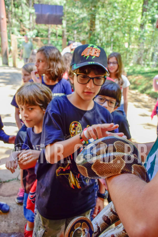 Buy your photos of the eventNR1 Ol� 6� ano - 19 A 21 /10/18 on Fotop