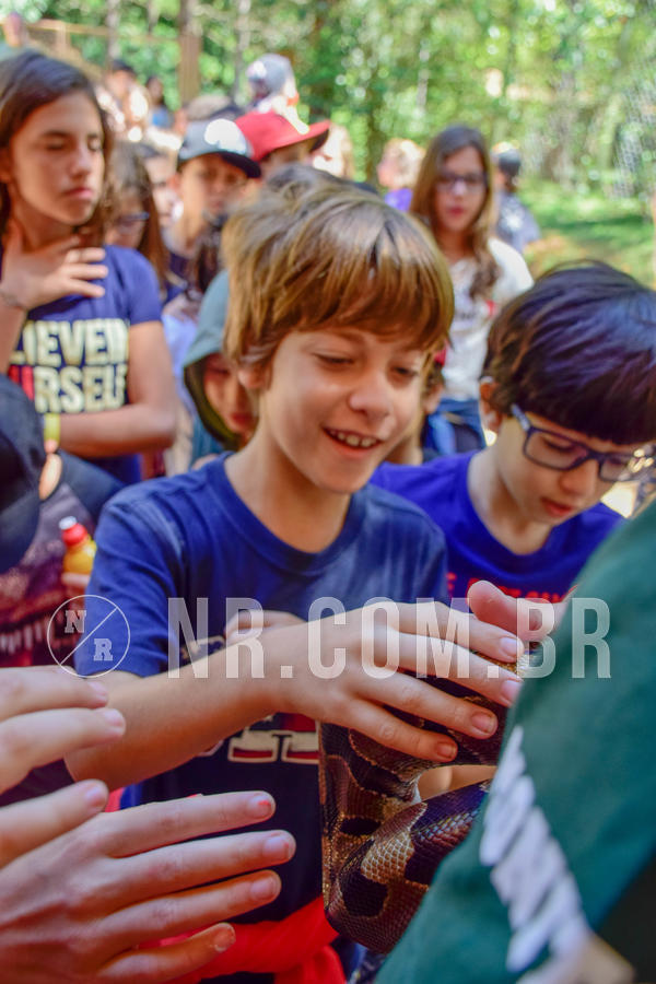 Buy your photos of the eventNR1 Ol� 6� ano - 19 A 21 /10/18 on Fotop