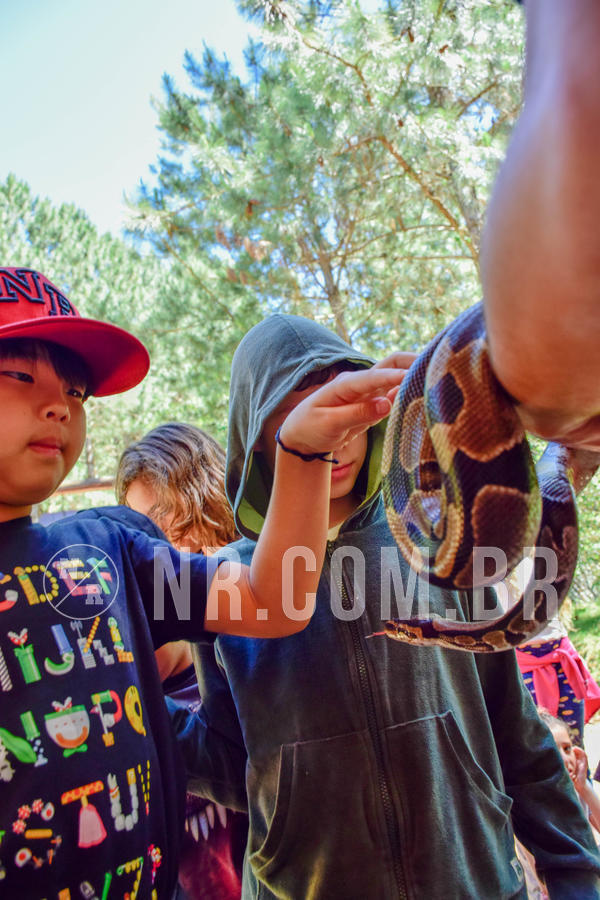 Buy your photos of the eventNR1 Ol� 6� ano - 19 A 21 /10/18 on Fotop