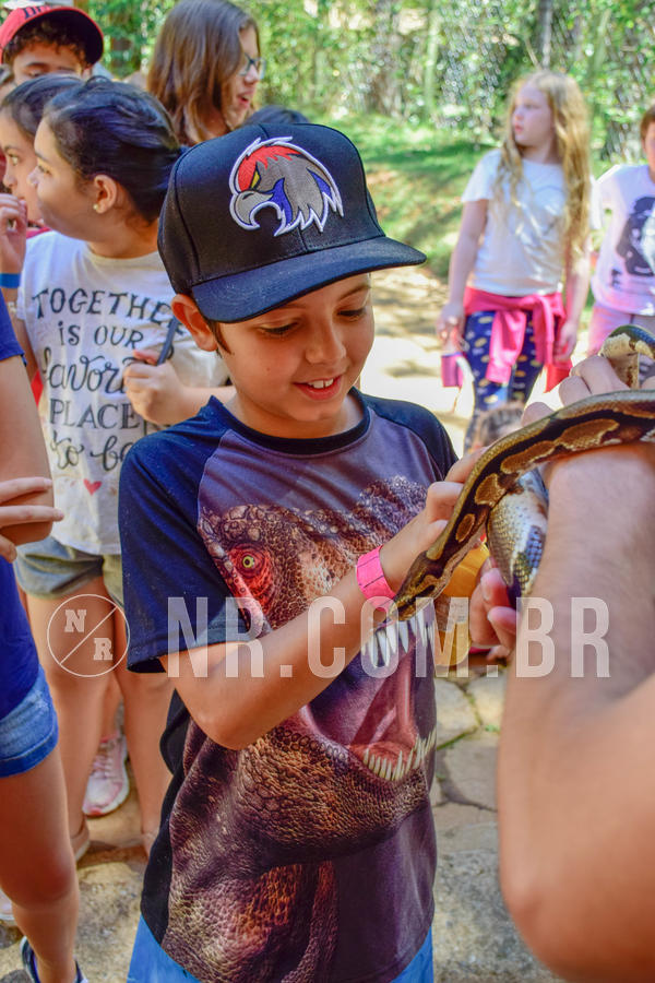 Buy your photos of the eventNR1 Ol� 6� ano - 19 A 21 /10/18 on Fotop