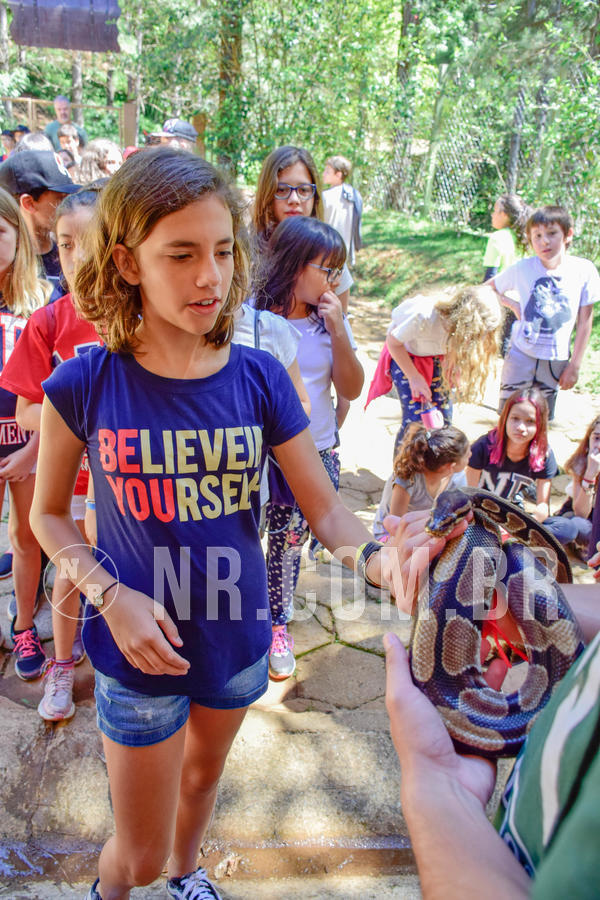 Buy your photos of the eventNR1 Ol� 6� ano - 19 A 21 /10/18 on Fotop