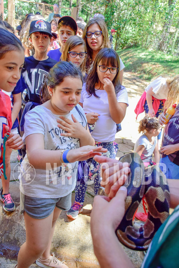 Buy your photos of the eventNR1 Ol� 6� ano - 19 A 21 /10/18 on Fotop