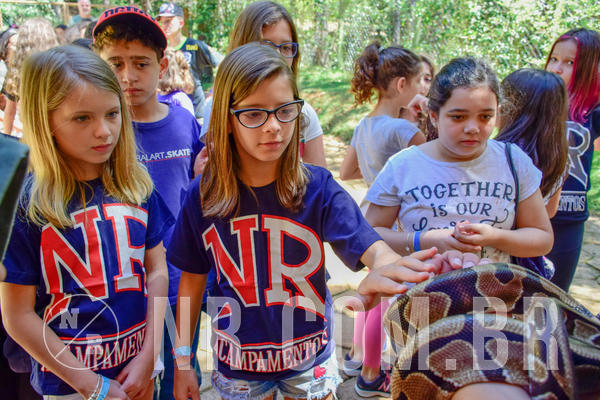 Buy your photos of the eventNR1 Ol� 6� ano - 19 A 21 /10/18 on Fotop